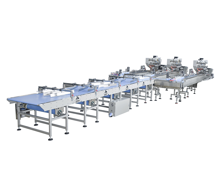 Introduction of automatic food feeding packaging line