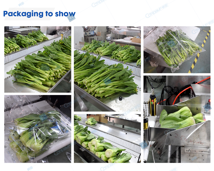 Automatic Vegetable Packing Machine,Intelligent Automatic Vegetable
