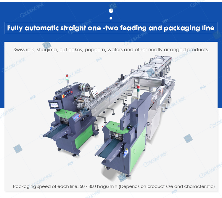 VT-1-2 Biscuit Packaging Line